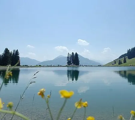 民宿 斯特莱福民宿 *