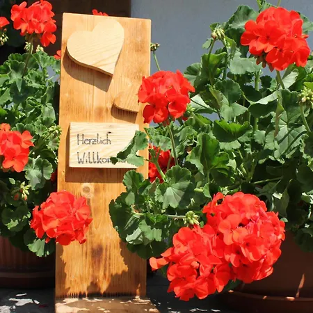 Homestay Haus Straif Brixen im Thale