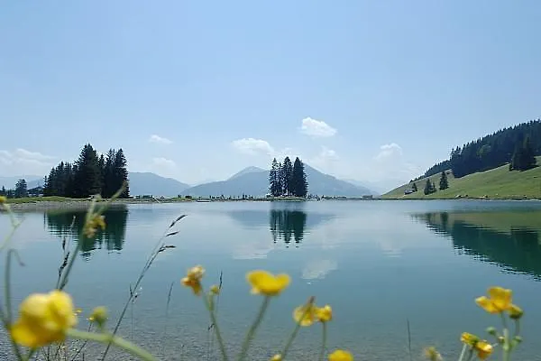 منزل للإقامة Haus Straif *