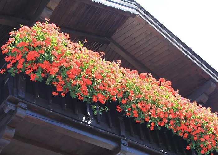 منزل للإقامة Haus Straif