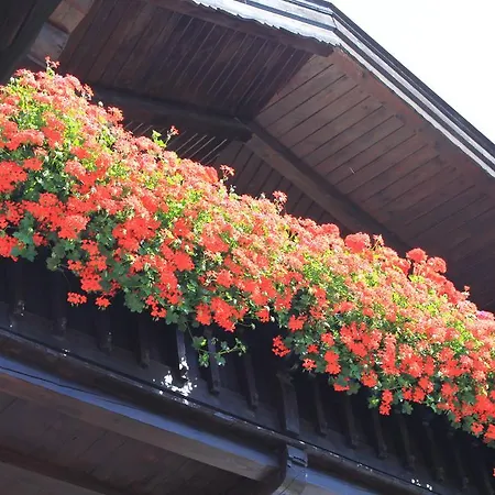 Alloggio in famiglia Haus Straif